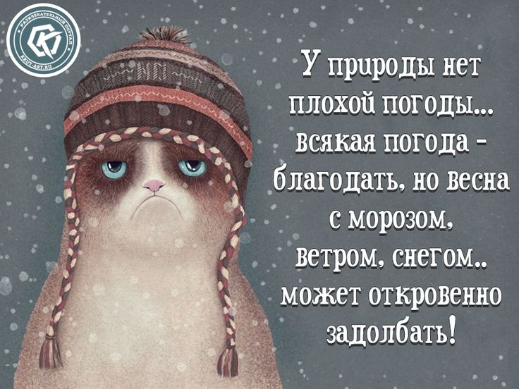 У природы нет плохой погоды