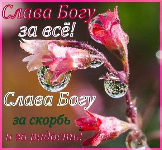 Спаси и сохрани воинов