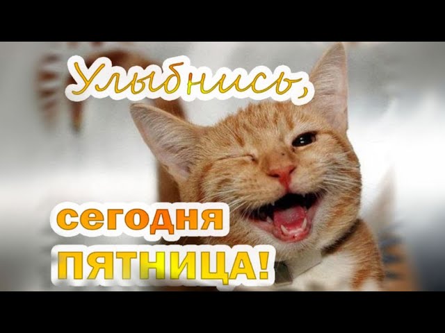 Открытки и картинки «Доброе утро субботы!»