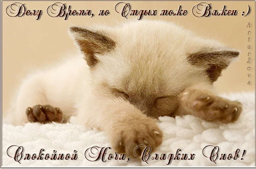 спокойной ночи! 😻😴good night! пожелание 