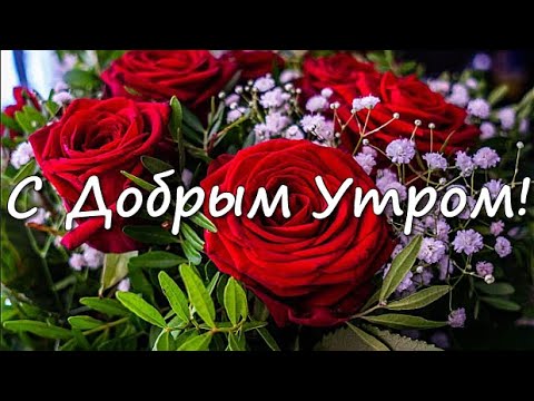 С добрым утром