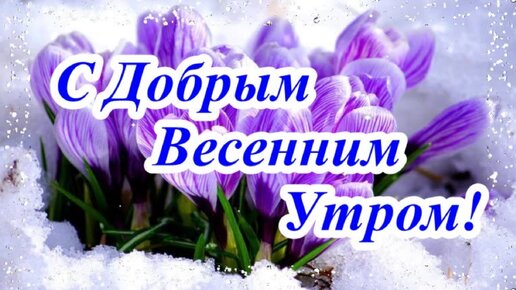 Пожелания Доброго Весеннего Утра 