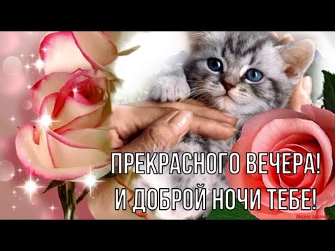 Приятного вечера и доброй ночи 