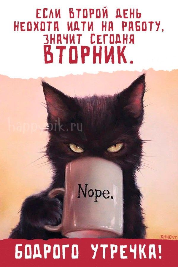 Не доброе утро