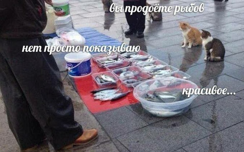 Картинки с надписями и мемы про Наташу 