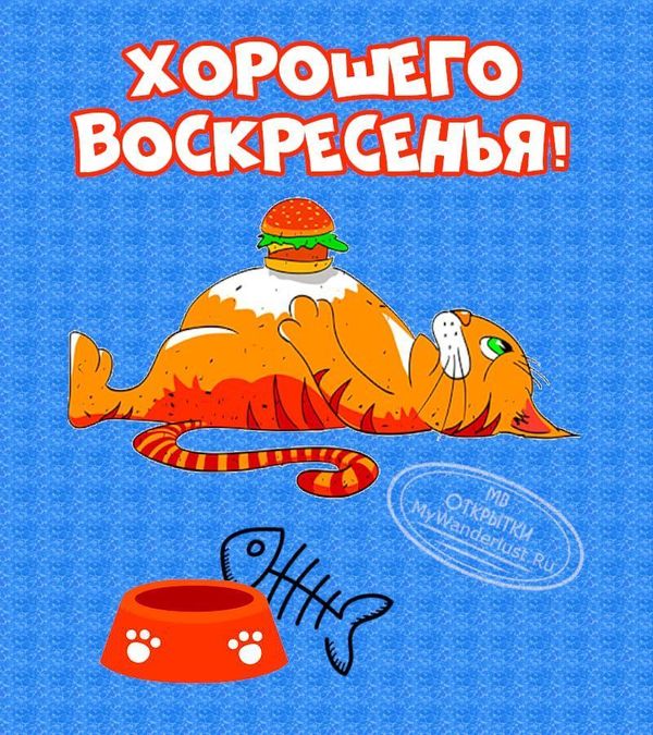 Открытки и картинки «Доброе утро воскресенья!»