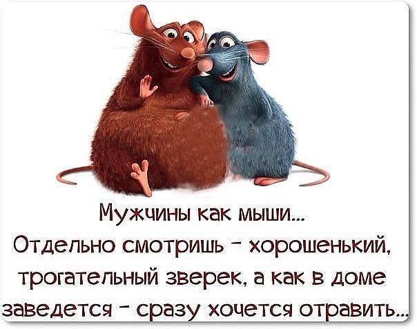 Смешные картинки