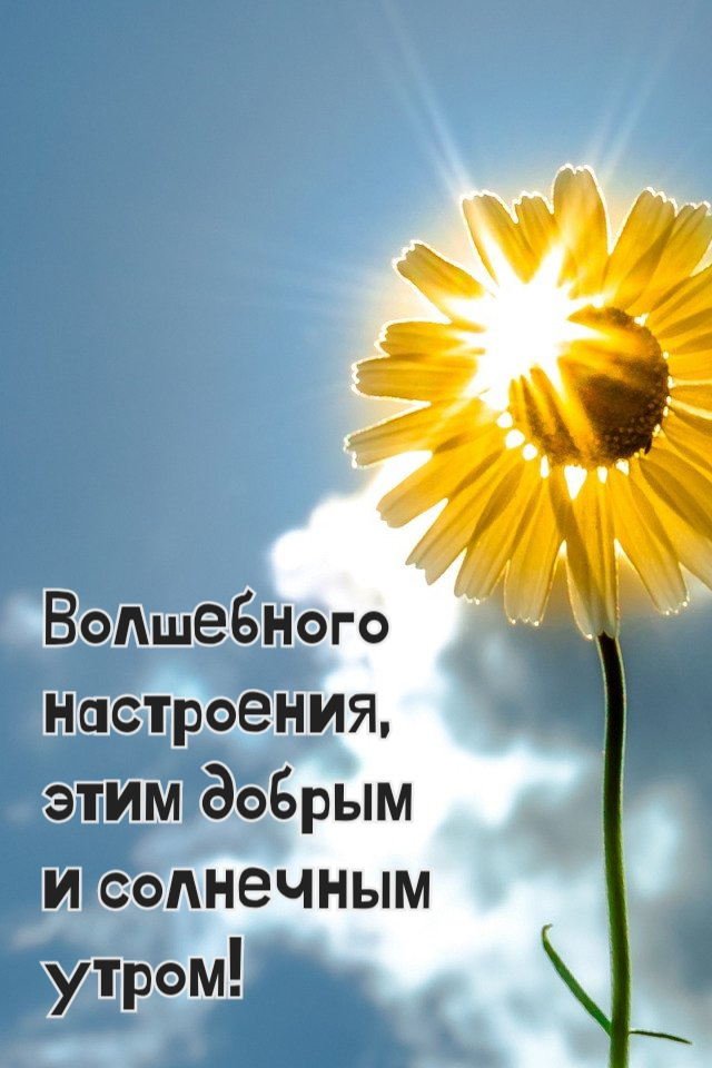 Доброе утро, солнышко! Поздравления и пожелания 