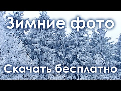 красивые зимние пейзажи желтоватый 