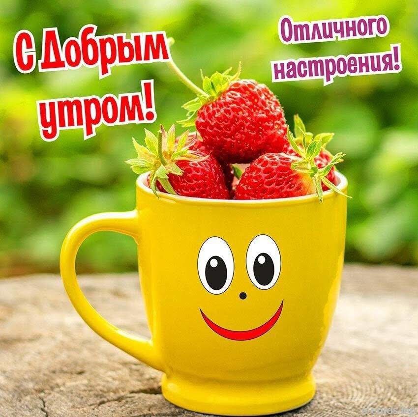 Веселые и оригинальные открытки 