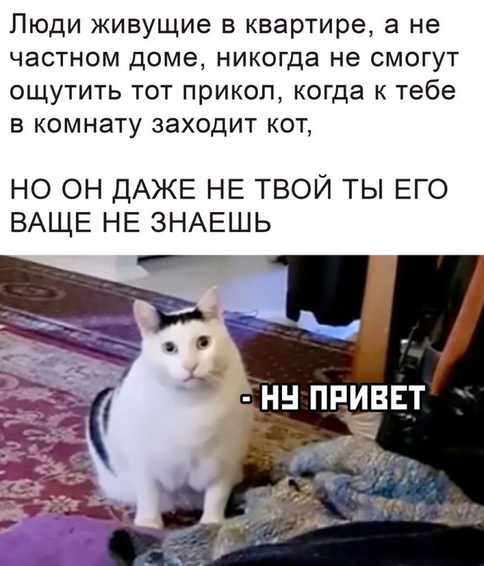 Я знаю пароль