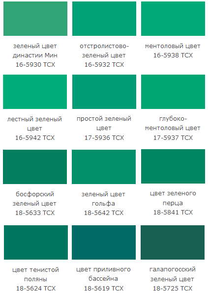 Листья хосты крупным планом ярко-зеленого цвета Красивые 