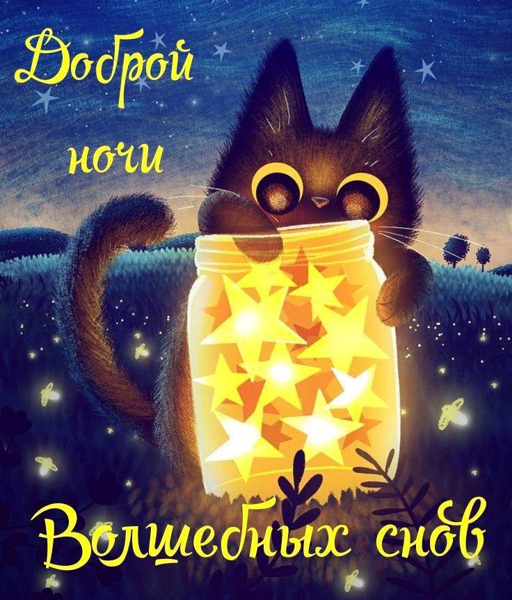 ДОБРОЙ НОЧИ!