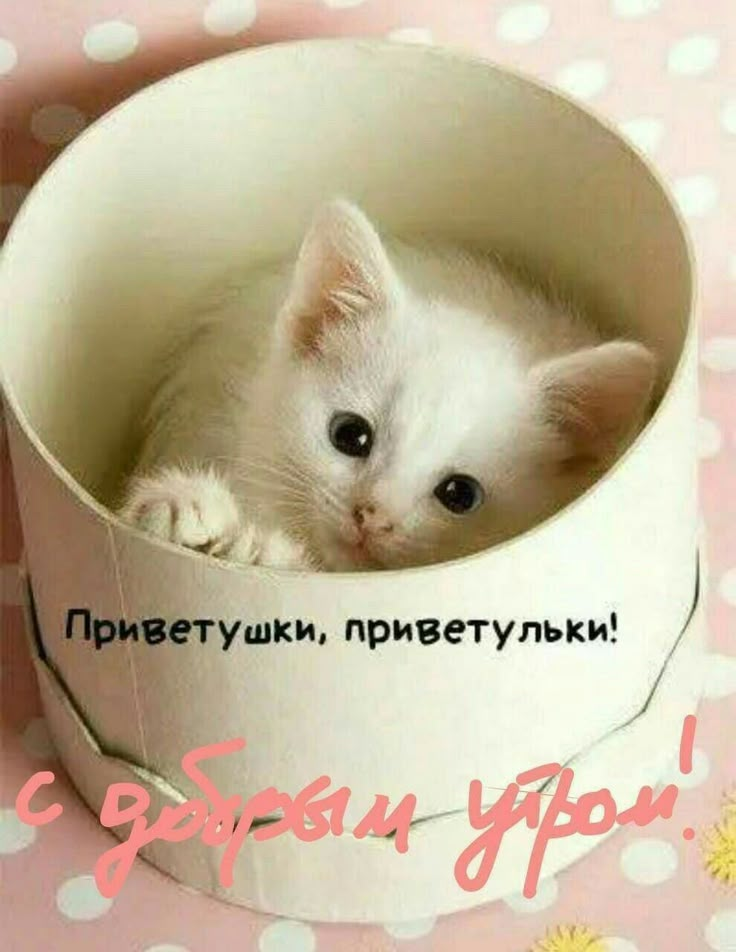 С добрым утром!#добрыепожелания #прекрасногонастроения 