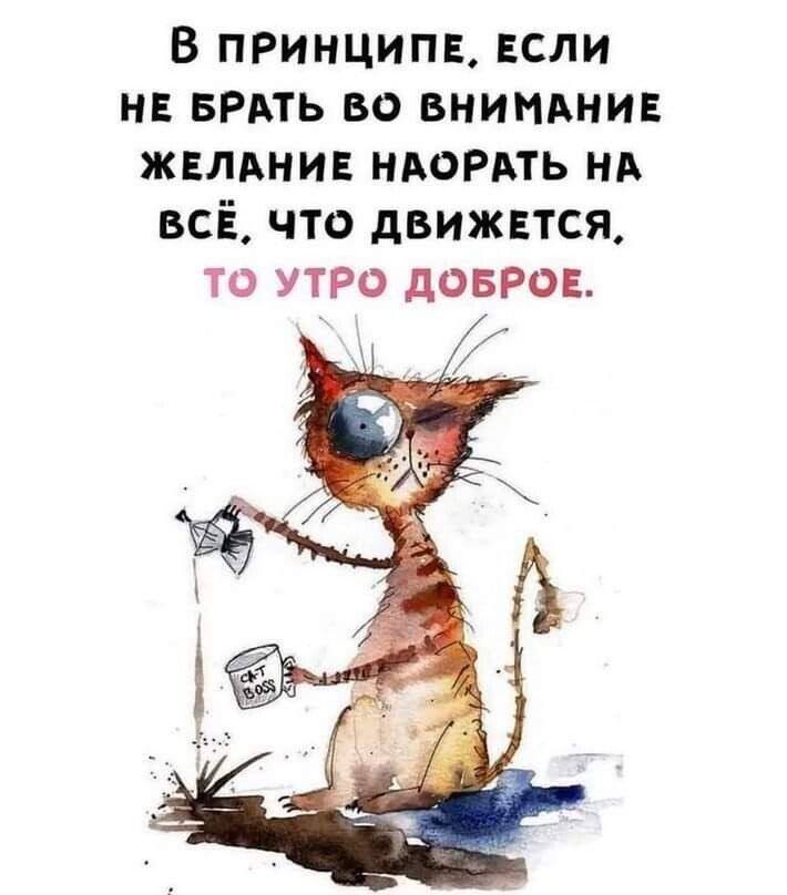 С чего начинается утро и Юмор