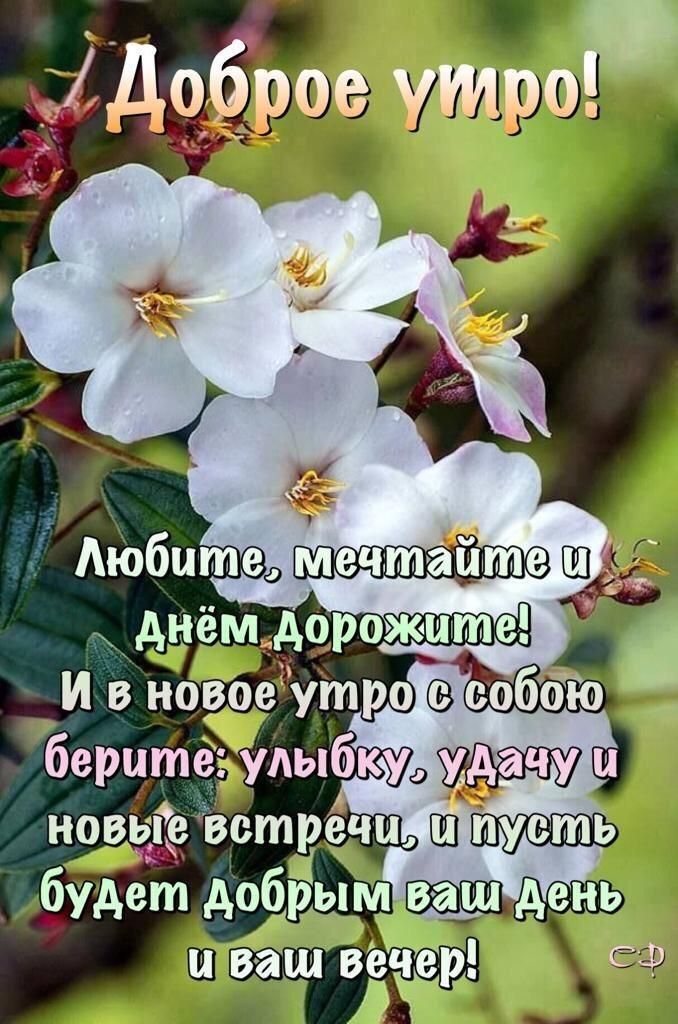 Доброе утро 