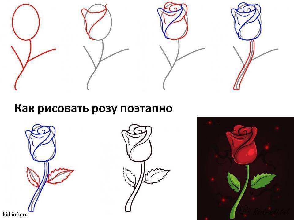 How to draw beautiful Rose from letter ''S