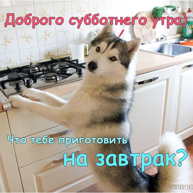 Сегодня суббота #приколы #рекомендации #доброеутро 