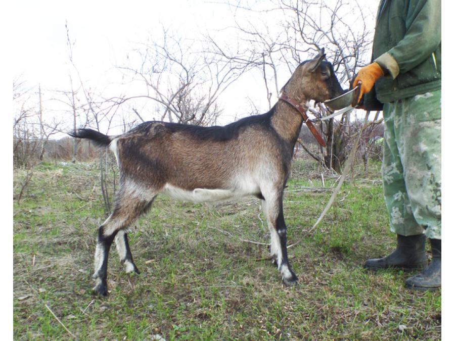 Гора самоцветов