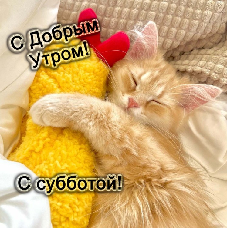 Доброго утра субботы!