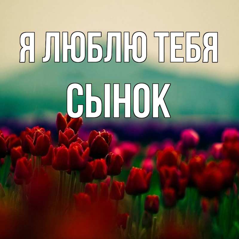 Открытка с именем Сынок Я тебя люблю 