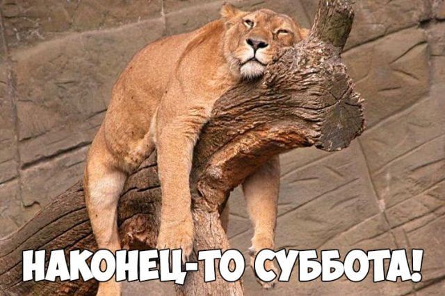 Красивые и прикольные открытки хорошей 