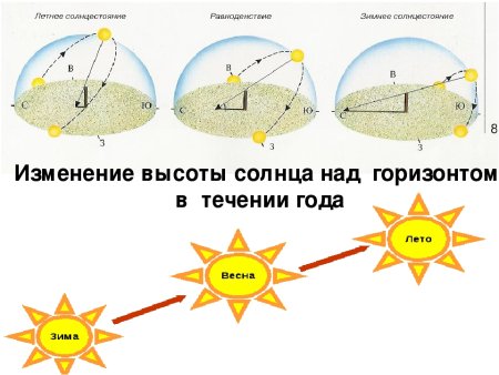 Празднование Навруза Весенний цветок 