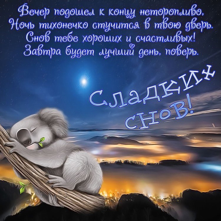 Спокойной ночи ! 🌙 Приятных сновидений ! 😘 