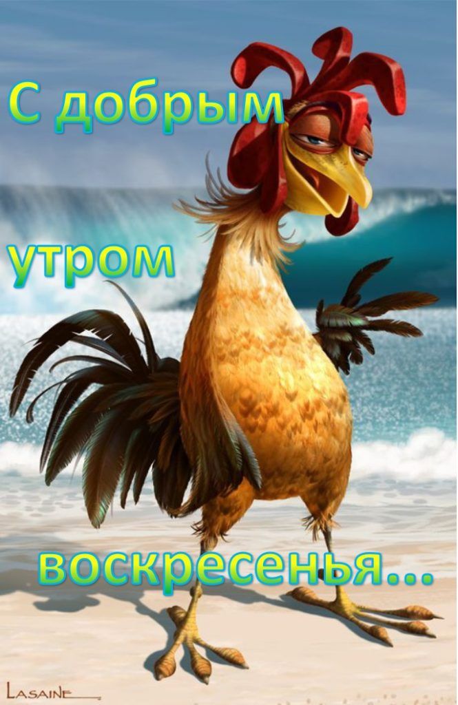 Доброе воскресное утро 🤗