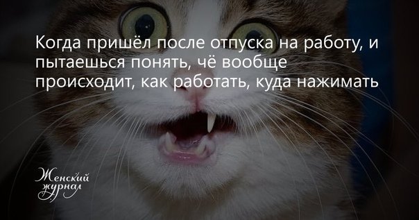 Веселые приколы и картинки про выход на работу после отпуска