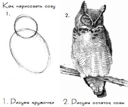 Прикольные рисунки для срисовки