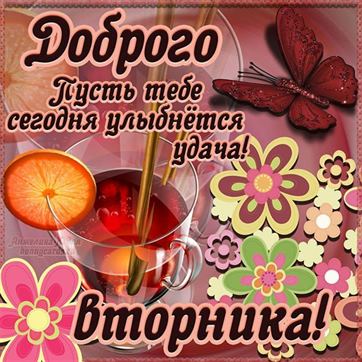 Открытка на вторник с фиолетовыми розами