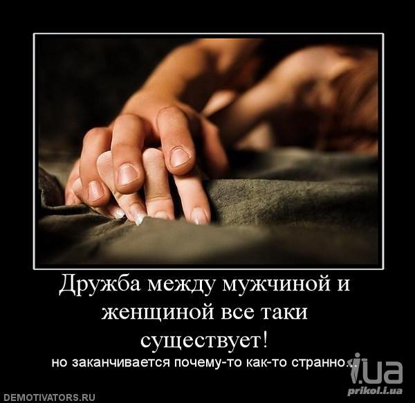 арт, #статусы, #юмор #пони #приколы Это чудо 