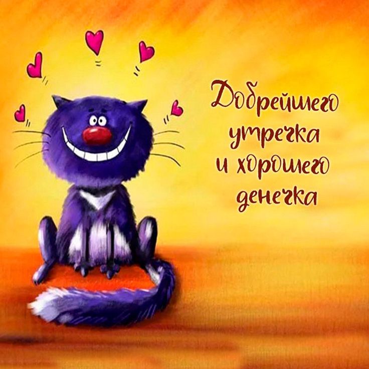 Добрейшего утра! Солнечного дня 🌞🌞🌞🤗😊😜🌈☕ #доброеутро 