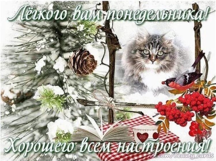 🌺 С ДОБРЫМ УТРОМ! понедельник ⬇ https