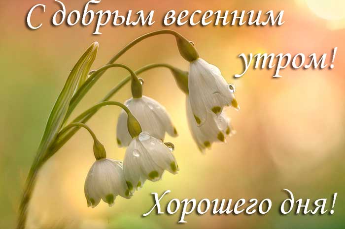 УРА ВЕСНА 🌸С Первым Днём Весны🌸С Добрым Весенним Утром 