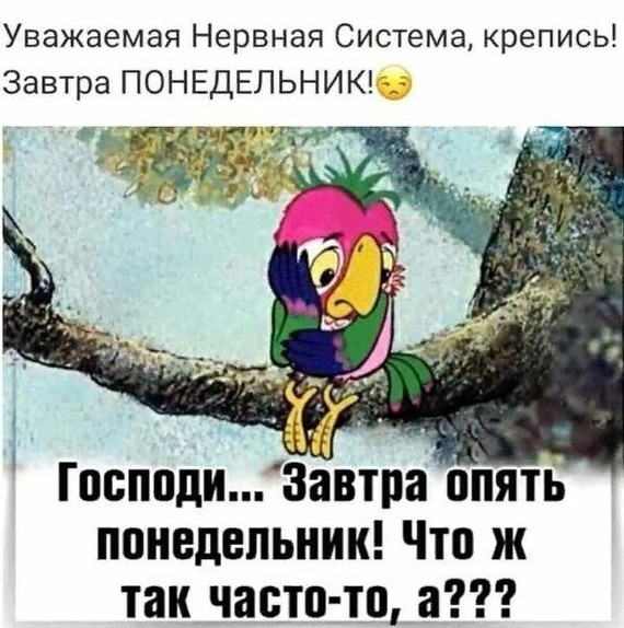 Доброй ночи! 