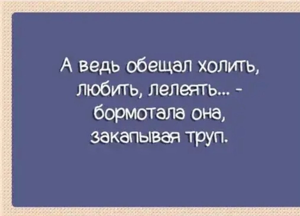 Прикольные фразы учителей – купить в интернет-магазине 