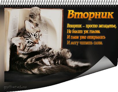 Гифки “Вторник прикольные“ 40 шт