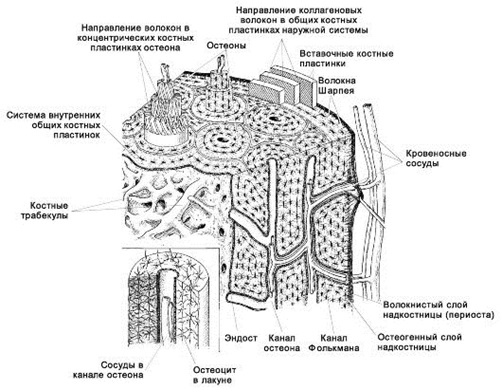 Плакат на баннерной ткани 