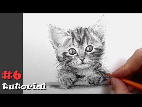 Как нарисовать кота для детей 