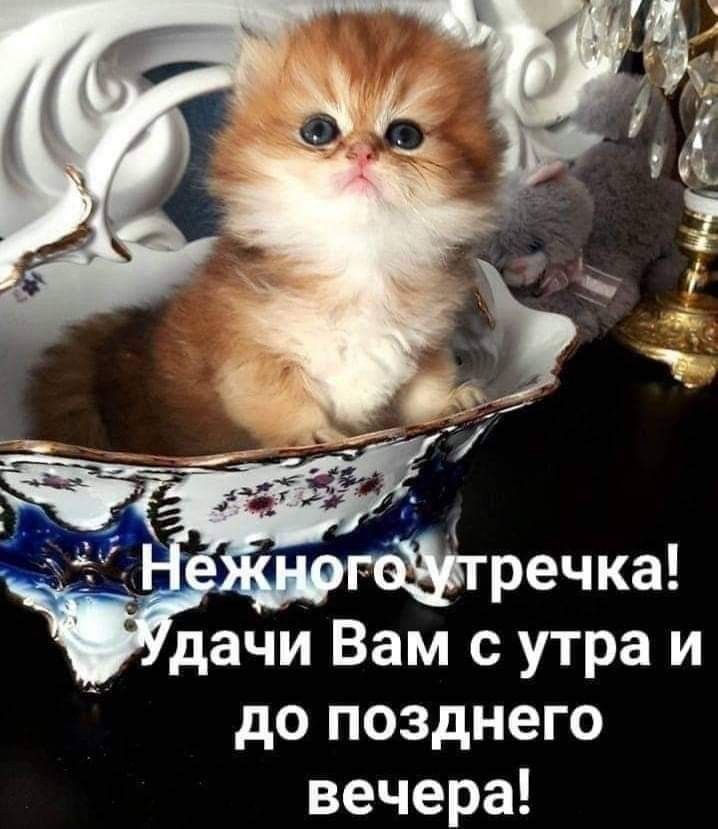 Прикольные и смешные гифки 