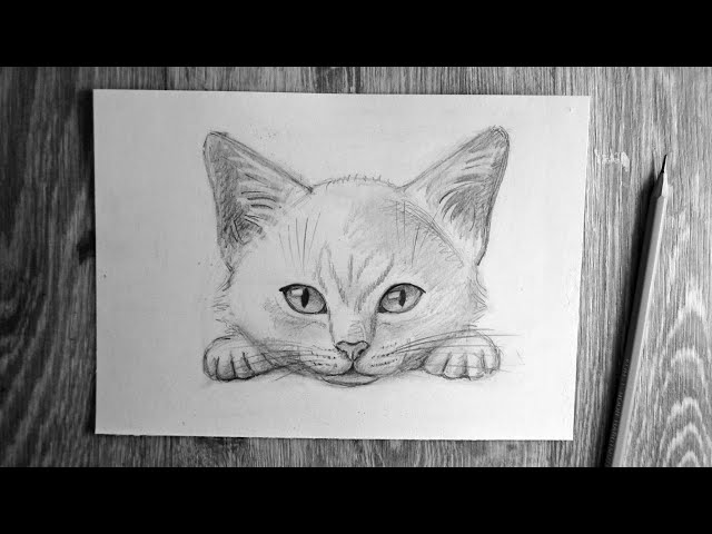 легкий рисунок кота для детей [Easy Cat Drawing ]