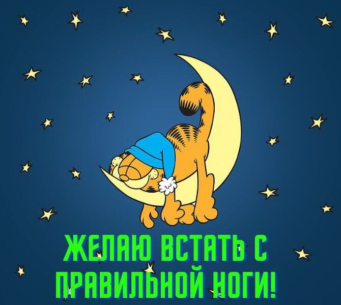 Спокойной ночи