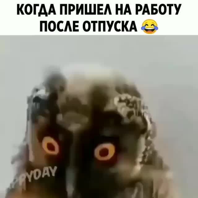 Ржачные картинки на тему 