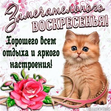 Открытка Приятного воскресенья! Доброе утро!