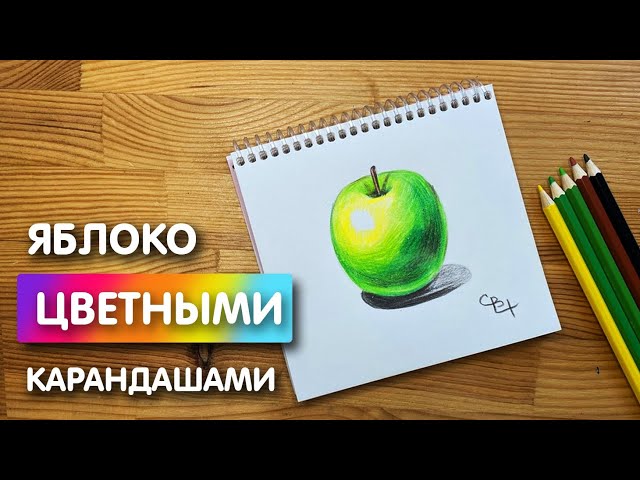 Рисунки карандашами цветными для скетчбука