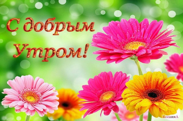 70+ картинок и открыток на тему «Доброе утро»