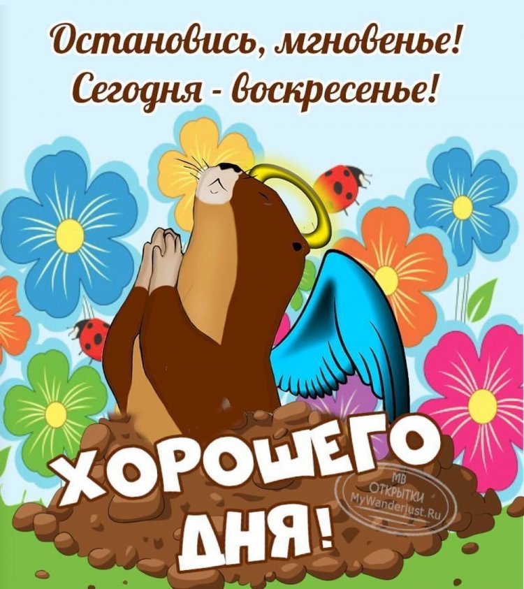 Открытки и картинки «Доброе утро!»