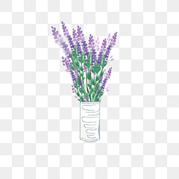 Лаванда Lavandula ipica Иллюстрация из медицинской ботаники 